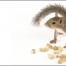 Thumbnail image for La fin de l’allergie à l’arachide?
