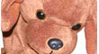 Epipuppy-110x60.jpg
