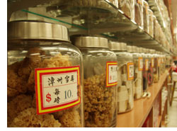 Post image for Des herbes chinoises pour prévenir les réactions allergiques